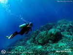 ขอขอบคุณภาพประกอบจาก : siamparadise.net